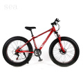 Cheap fat tire bike/fat bike frames for sale/mountain bikes with fat tires